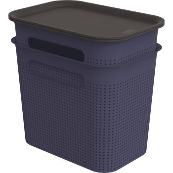 Cutii de depozitare albastru-închis 2 buc. din plastic cu capac 18,5x27x26 cm Brisen – Rotho