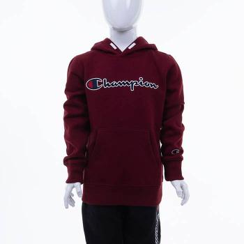 Champion Hooded Sweatshirt 305376 RS501
