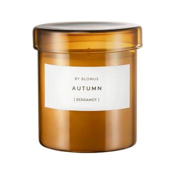 Lumânare parfumată din ceară de soia timp de ardere 45 h Valoa Autumn – Blomus