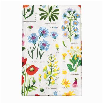 Față de masă din hârtie 120x180 cm Wild Flowers – Rex London