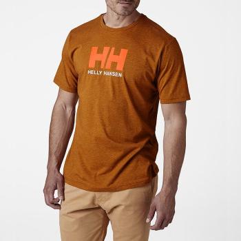 Helly Hansen Logo T-shirt 33979 283