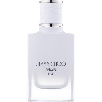 Jimmy Choo Man Ice Eau de Toilette pentru bărbați 30 ml