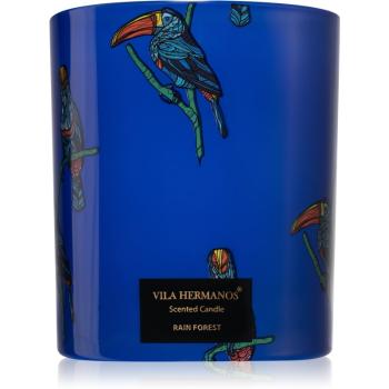 Vila Hermanos Jungletopia Rain Forest lumânare parfumată 200 g