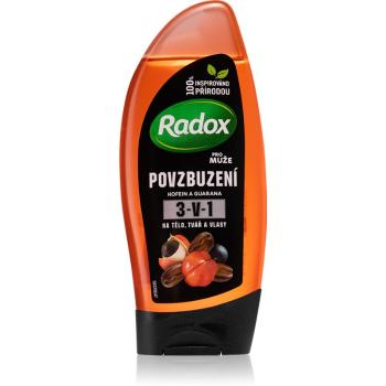 Radox Men Invigorating Gel de duș pentru bărbați 3 in 1 250 ml