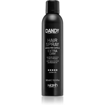 DANDY Hair Spray fixativ cu fixare puternică cu acid hialuronic 300 ml