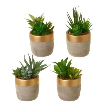 Plante artificiale 4 buc. (înălțime 17 cm) Cactus – Casa Selección