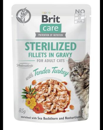 BRIT CARE Fillets in Gravy Pouch Sterilized Tender Turkey 24x85g Hrana umeda cu curcan pentru pisici sterilizate