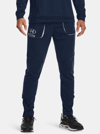 Under Armour UA Armour Terry Evltn Jogger Pantaloni de trening Albastru