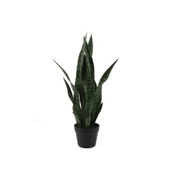 Plantă uscată (înălțime 66 cm) Sansevieria – PT LIVING