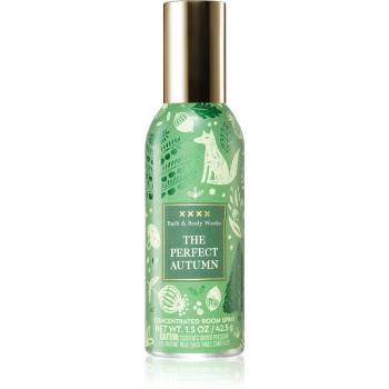 Bath & Body Works The Perfect Autumn spray pentru camera 42,5 g