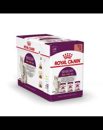 ROYAL CANIN Sensory Smell, Taste, Feel 12 x 85 g Hrana umeda pisici, stimulare senzoriala