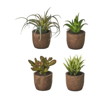 Plante artificiale 4 buc. (înălțime 10 cm) Cactus – Casa Selección