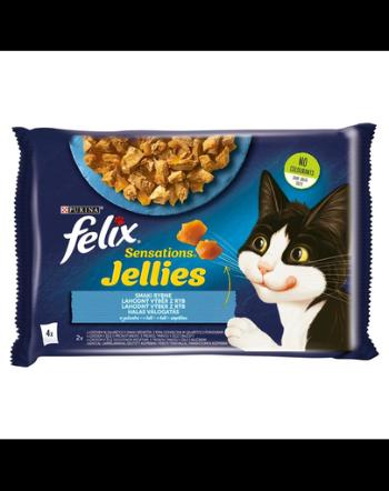 FELIX Sensations Jeleuri Hrana umeda cu peste in jeleu pentru pisici adulte 48x85g