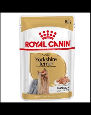 ROYAL CANIN Breed Mini Yorkshire 24 x 85 g hrana umeda caine