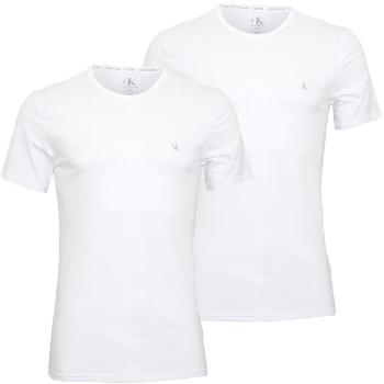 Calvin Klein 2 PACK - tricou pentru bărbați NB2221A-100 L