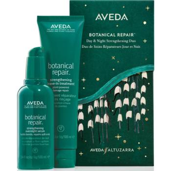 Aveda Holiday Botanical Repair™ Day & Night Strengthening Treatments set cadou (pentru intarirea parului)