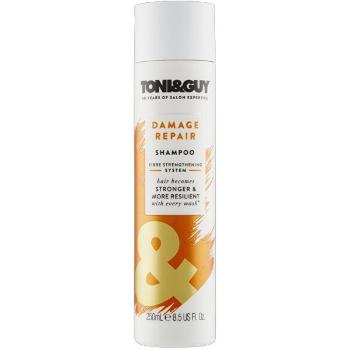 Toni&Guy Șampon pentru păr deteriorat (Shampoo For Damaged Hair) 250 ml