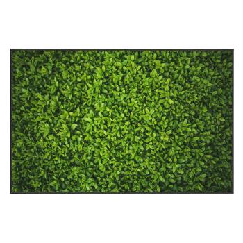 Covor Oyo home Ivy, 80 x 140 cm, verde
