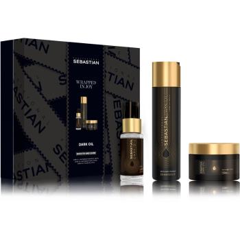 Sebastian Professional Dark Oil set cadou (pentru un par stralucitor si catifelat)