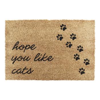 Covoraș de intrare din fibre de nucă de cocos 40x60 cm Hope You Like Cats – Artsy Doormats