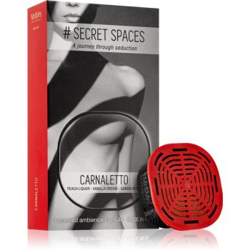 Mr & Mrs Fragrance Secret Spaces Carnaletto reumplere în aroma difuzoarelor capsule