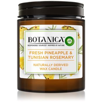Air Wick Botanica Fresh Pineapple & Tunisian Rosemary lumânare parfumată 205 g