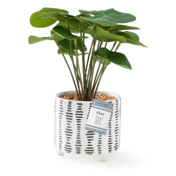 Plantă artificială (înălțime 23 cm) Flori Pilea – AmeliaHome