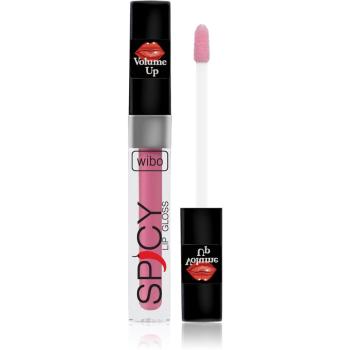 Wibo Lip Gloss Spicy luciu de buze pentru un volum suplimentar 18 3 ml