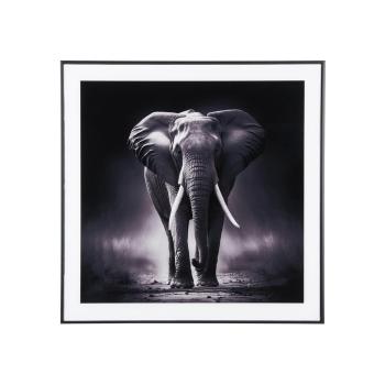 Tablou 50x50 cm  Elephant  – PT LIVING