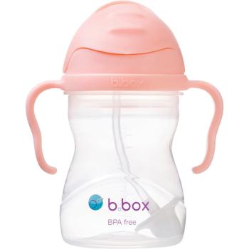 B.Box Gelato Cup ceasca cu pai Tutti Frutti 6m+ 240 ml