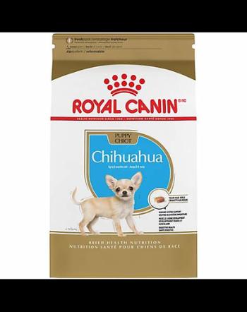 Royal Canin Chihuahua Puppy hrana uscata caine junior, 500 g