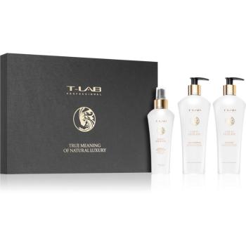 T-LAB Professional Coco Therapy set cadou (cu efect revitalizant)