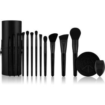 Luvia Cosmetics Prime Vegan Pro Black Edition set perii machiaj 12 buc