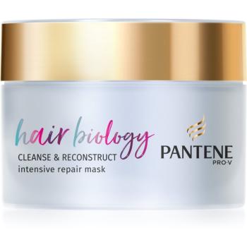 Pantene Hair Biology Cleanse & Reconstruct Masca de par pentru par deteriorat 160 ml