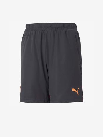 Puma Pantaloni scurţi pentru copii Gri