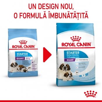 ROYAL CANIN Giant Starter Mother & BabyDog, mama și puiul, hrană uscată câini, 15kg