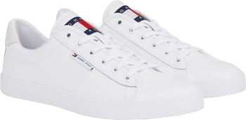 Tommy Hilfiger Adidași pentru bărbați EM0EM01314YBR 45