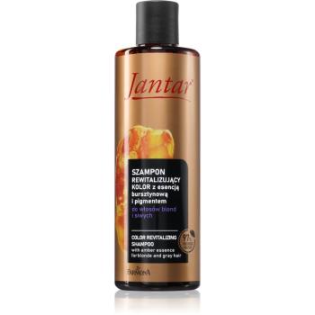 Farmona Jantar Amber Essence sampon revitalizant pentru părul blond şi gri 300 ml