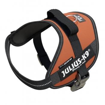 JULIUS-K9 IDC Power, ham caini, XS, 4-7kg, cărămiziu