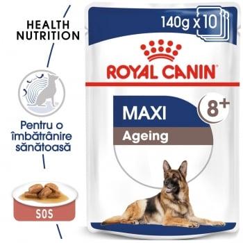 Royal Canin Maxi Ageing, bax hrană umedă câini senior, (în sos), 140g x 10
