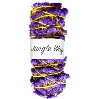 Jungle Way White Sage & Forget-Me-Not tamaie 10 cm