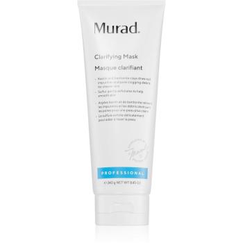 Murad Clarifying Mask masca impotriva acneei 240 g