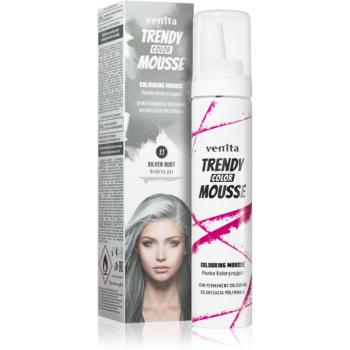 Venita Trendy Color Mousse vopsea de par sub forma de spuma fără amoniac culoare No. 11 - Silver Dust 75 ml