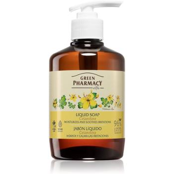 Green Pharmacy Celandine Hand Soap săpun lichid 460 ml