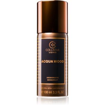 Collistar Acqua Wood deodorant spray pentru bărbați 100 ml