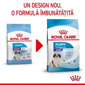 ROYAL CANIN Giant Puppy, hrană uscată câini junior, etapa 1 de creștere, 3.5kg