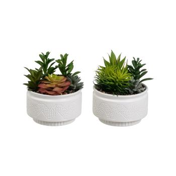 Plante artificiale 2 buc. (înălțime 19 cm) Cactus – Casa Selección