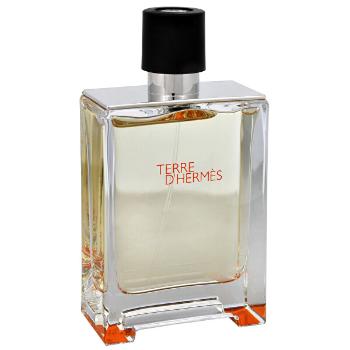 Hermes Terre D´ Hermes - EDT TESTER 200 ml