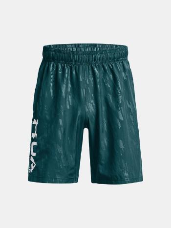 Under Armour Woven Emboss Pantaloni scurți Albastru