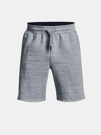 Under Armour UA Project Rock Originators Pantaloni scurti Gri